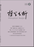 哲学分析